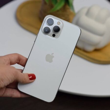 iPhone 13 Pro Max 256 Gb Silver